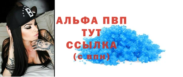 индика Алексин