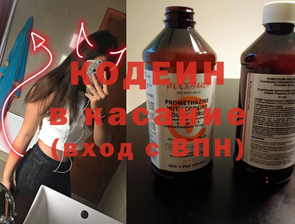 индика Алексин