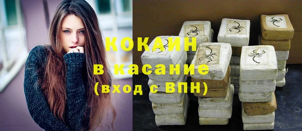 индика Алексин
