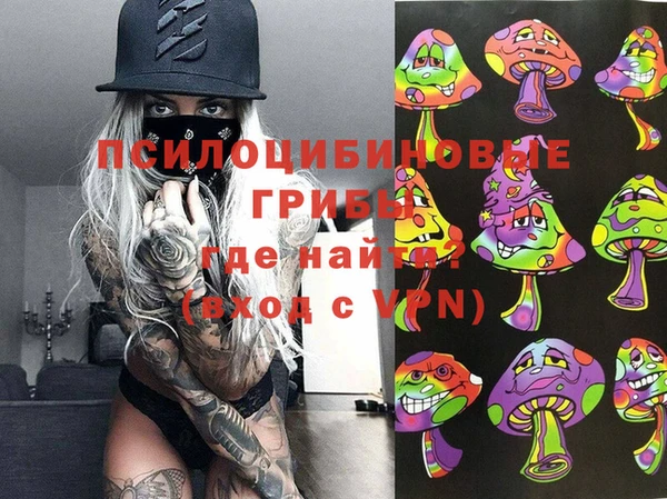 индика Алексин